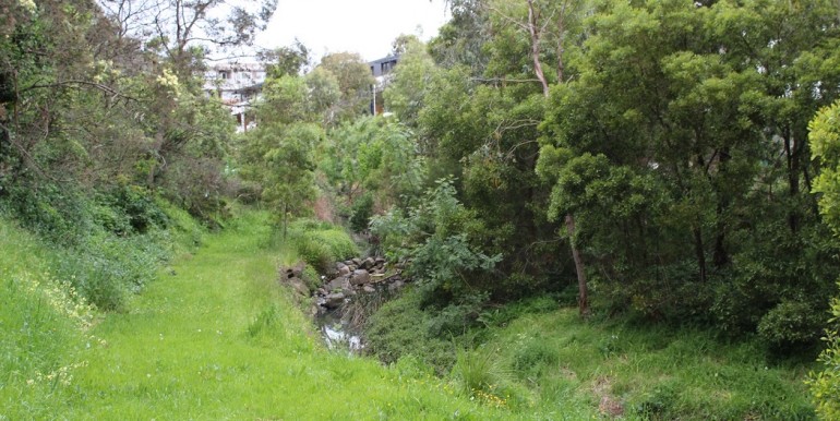 creek-2
